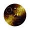 The Voyager Golden Record!.png