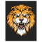 LIONS Classic .png