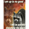 I am up to no good, I will be actively disturbing the peace - funny raccoon quote.png
