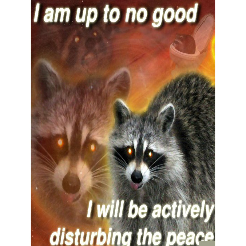 I am up to no good, I will be actively disturbing the peace - funny raccoon quote.png