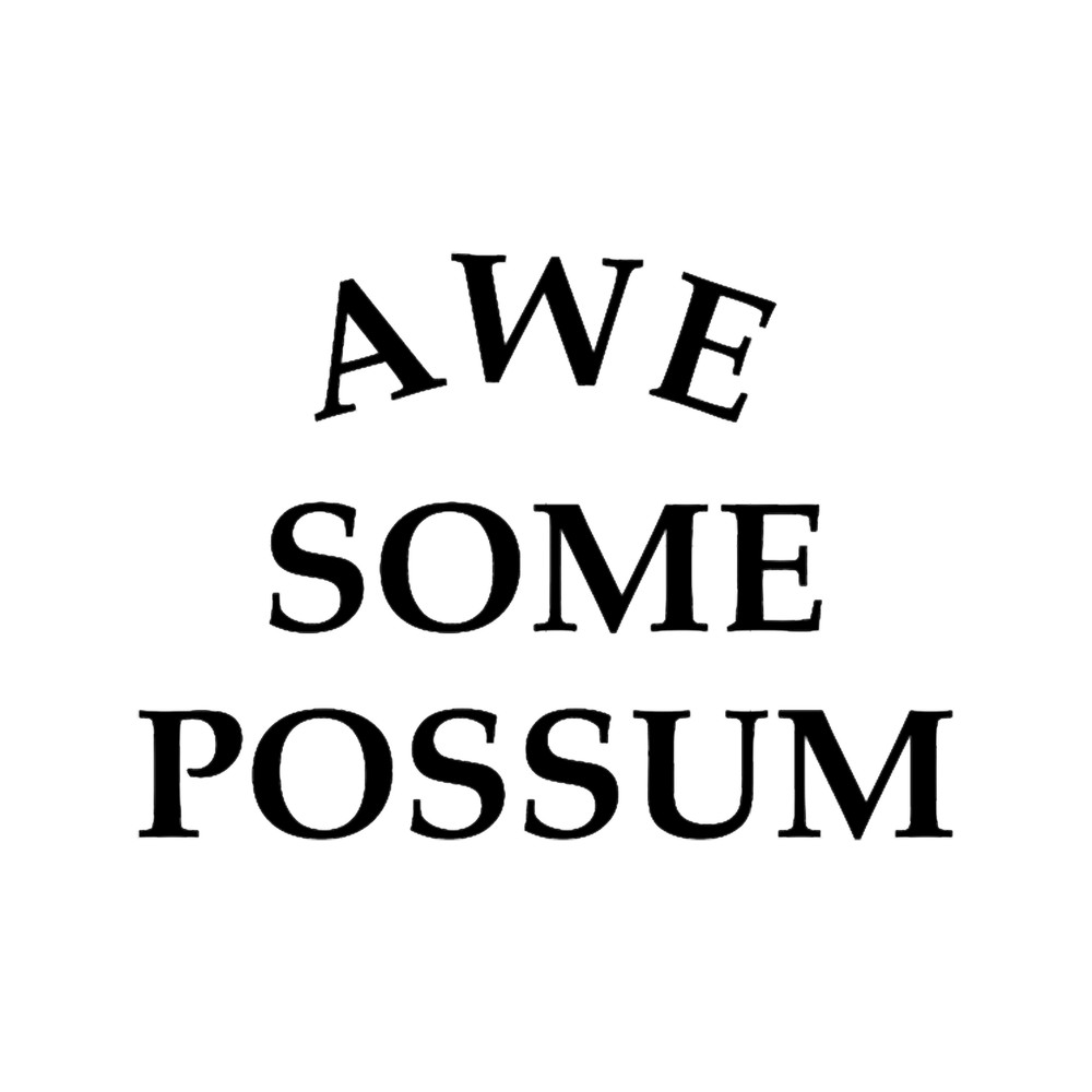 Awesome Possum .png
