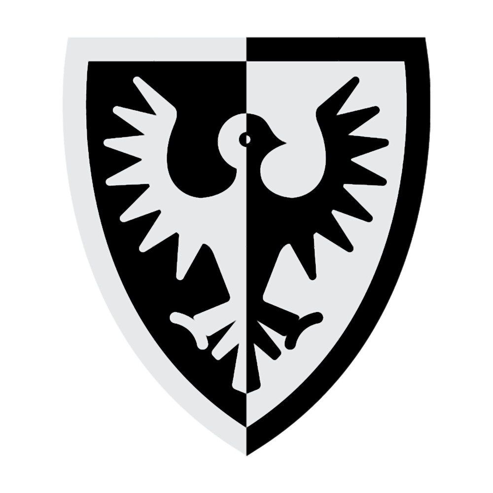 Black Falcon Shield Logo .png