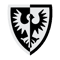 Black Falcon Shield Logo .png