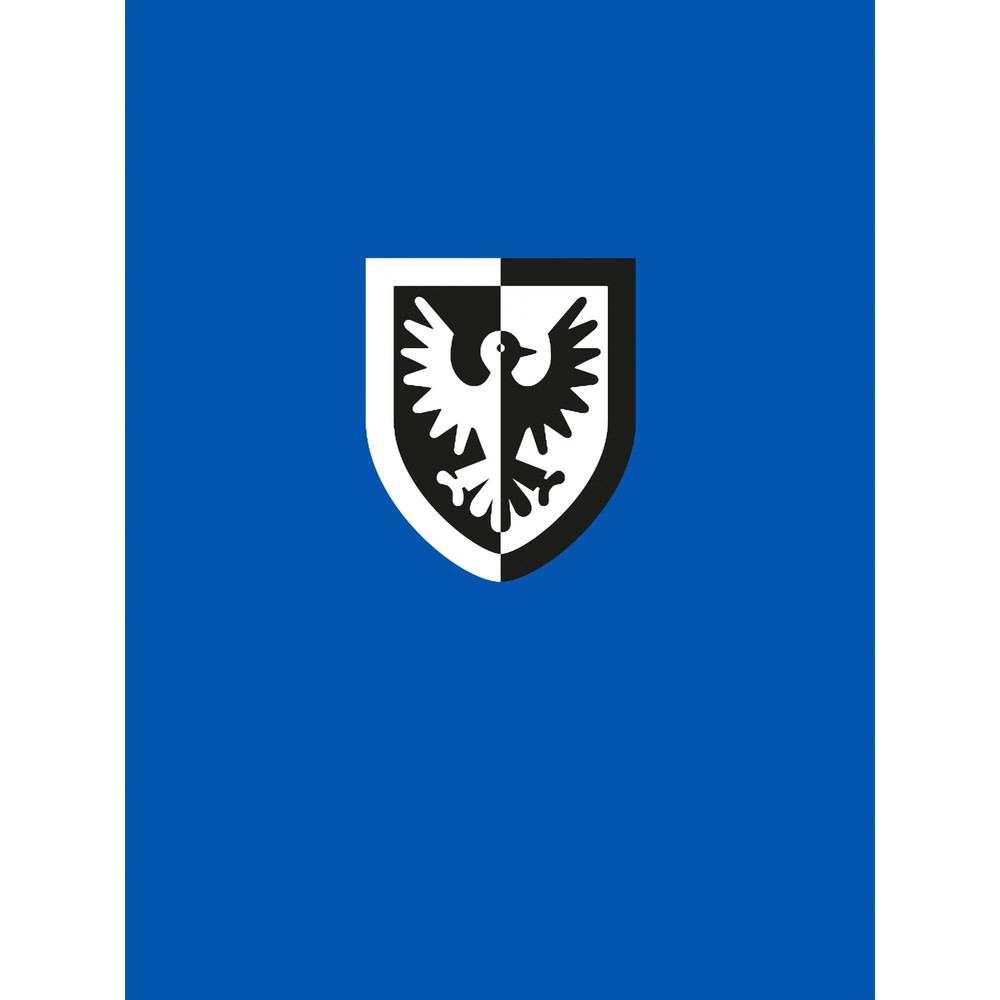 Black Falcons Graphic .png