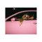 Paris Hilton On A Pink Car Y2k Design Tapestry.png
