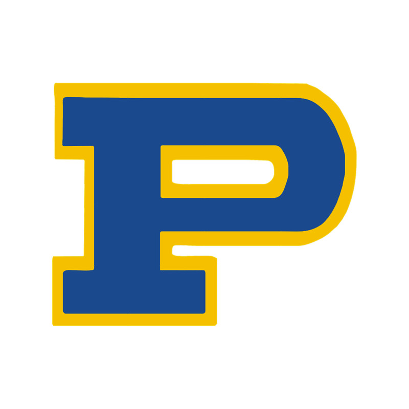 Dillon Panthers .png