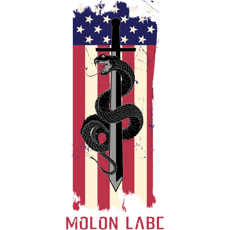 Molon Labe With American Flag Premium .png