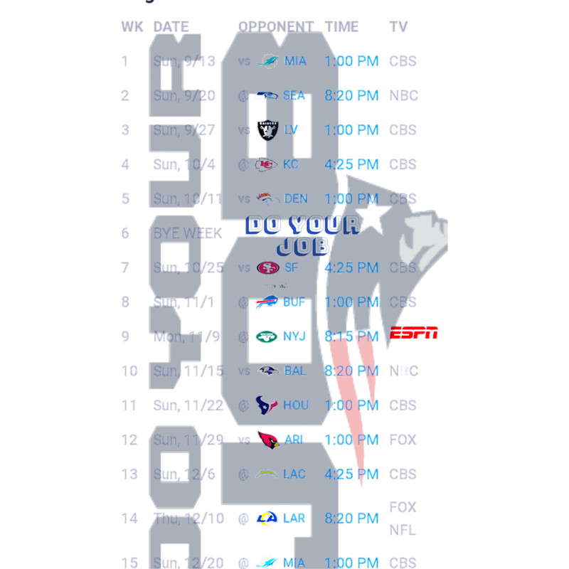 PATRIOTS GET_S THE JOB DONE.png