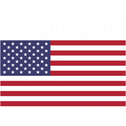 patriots usa flag