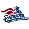 Somerset Patriots.png