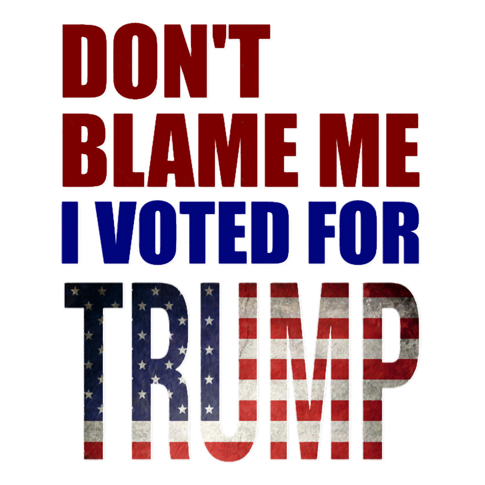 Vintage Don_t Blame Me I Voted For Trump USA .png