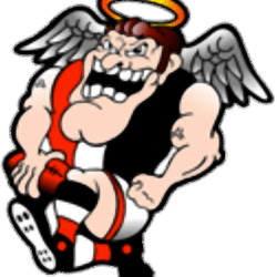 benalla saints breast logo
