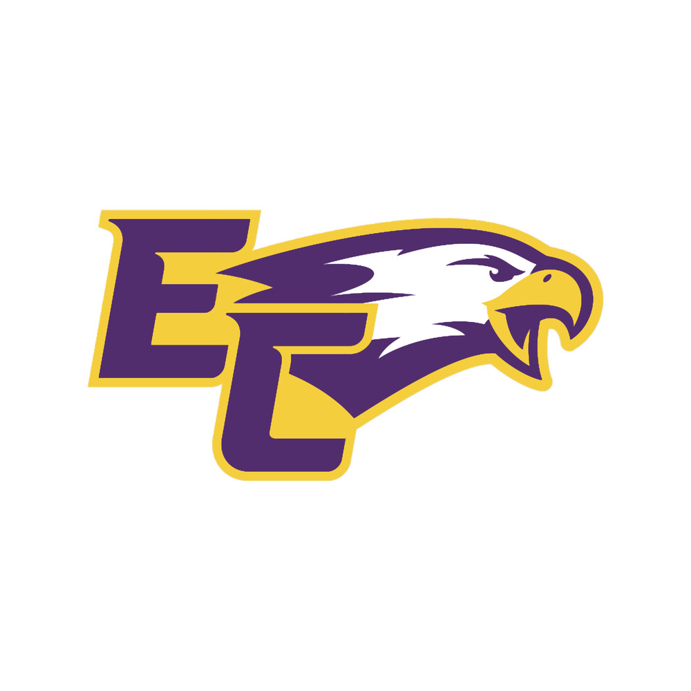 Elmira Soaring Eagles.png