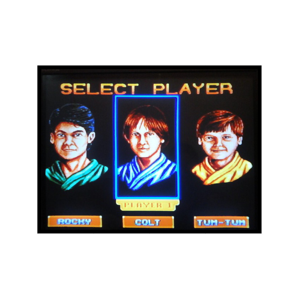 3 ninjas kickback select screen.png