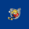 Barrie Colts Sleeveless Top .png