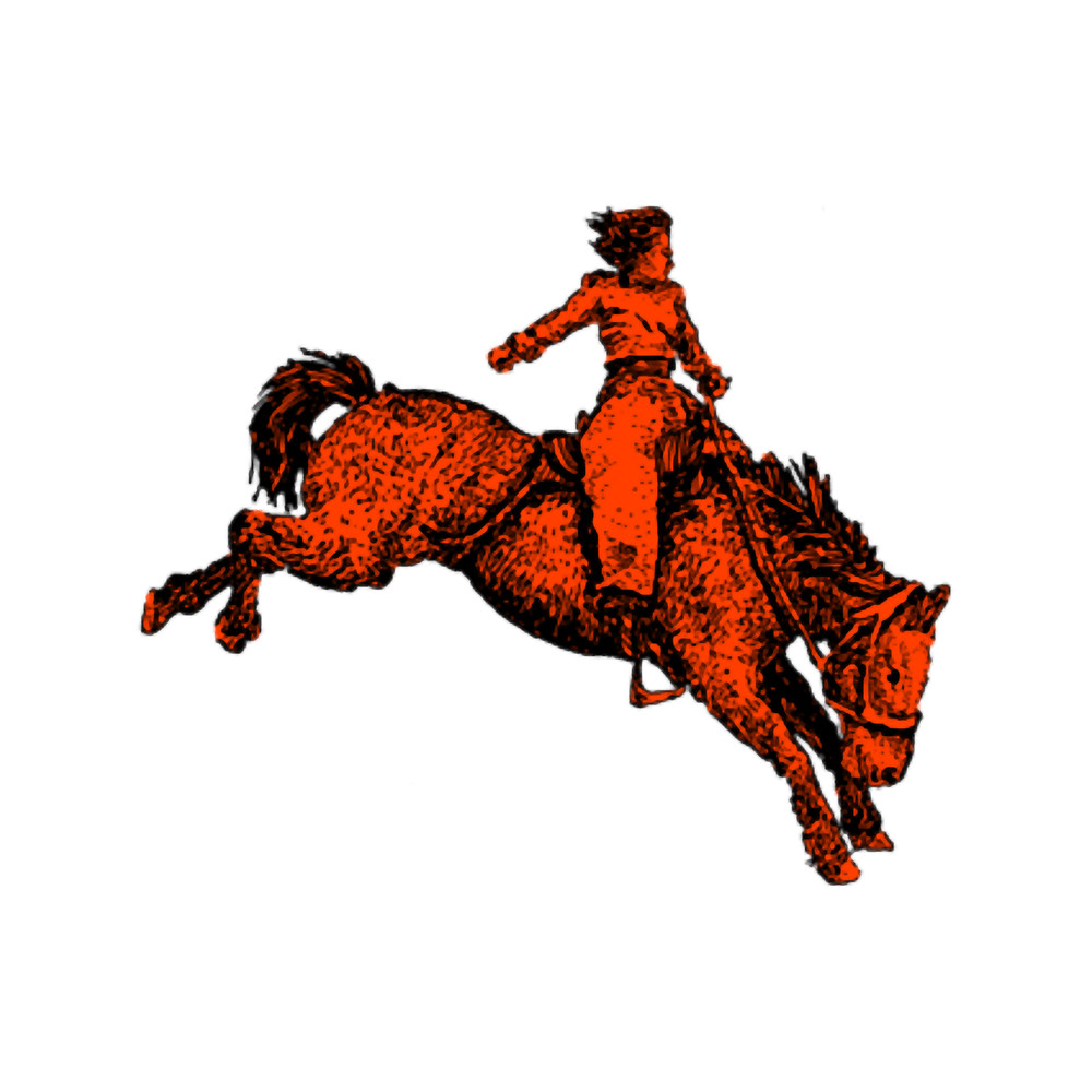 Flyin_ HorsesRodeoCowgirl 1.png