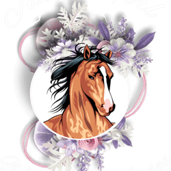 just a girl who loves horses