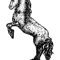 Rearing Horse.png