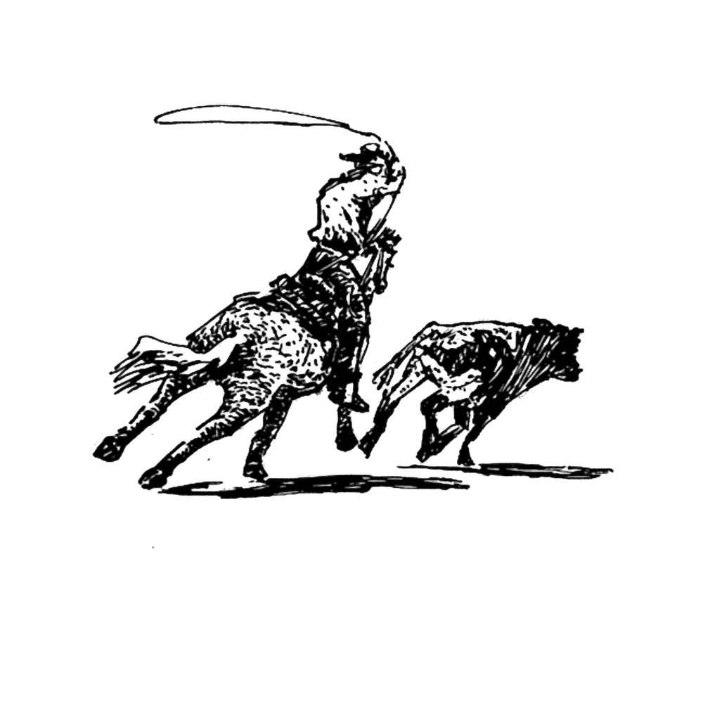 Underneath the Texas sky 1.png