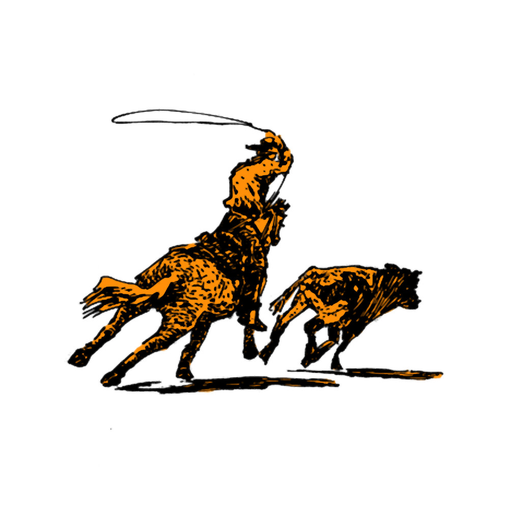 Underneath the Texas sky 3.png