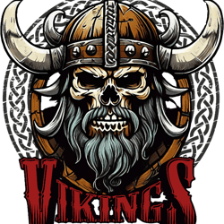 viking skul