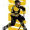 David Pastrnak Active .png