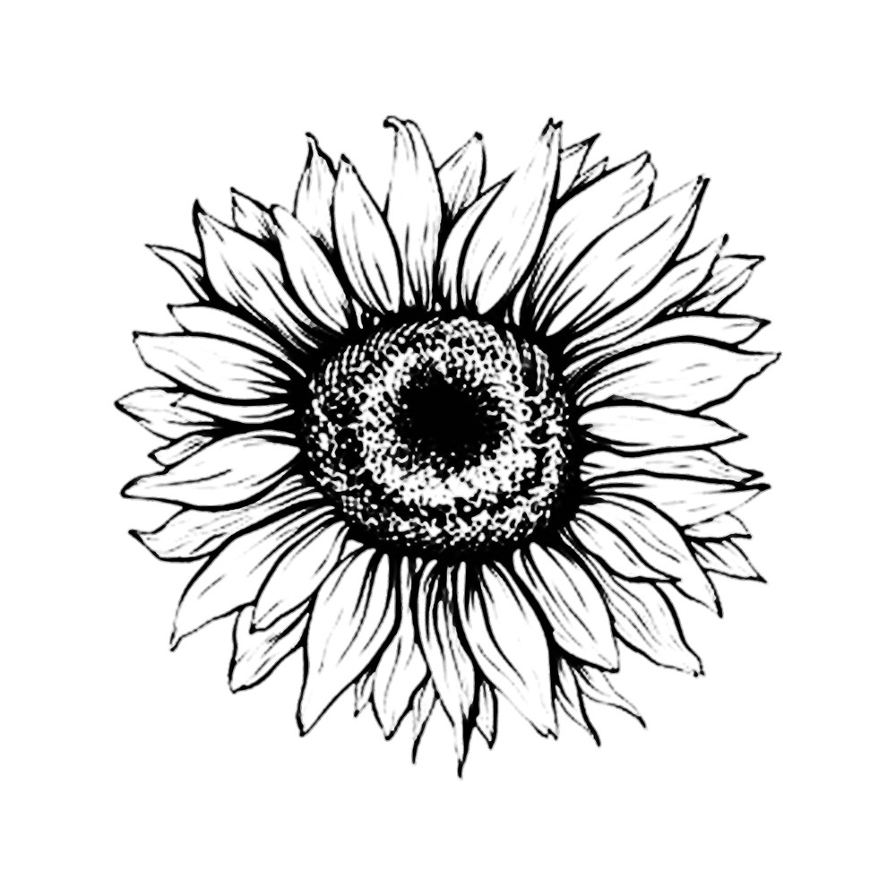 Sunflower.png