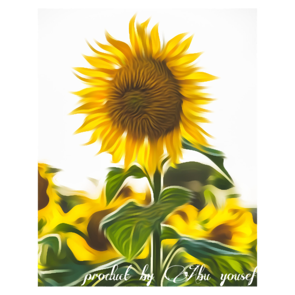 Sunflower (7).png