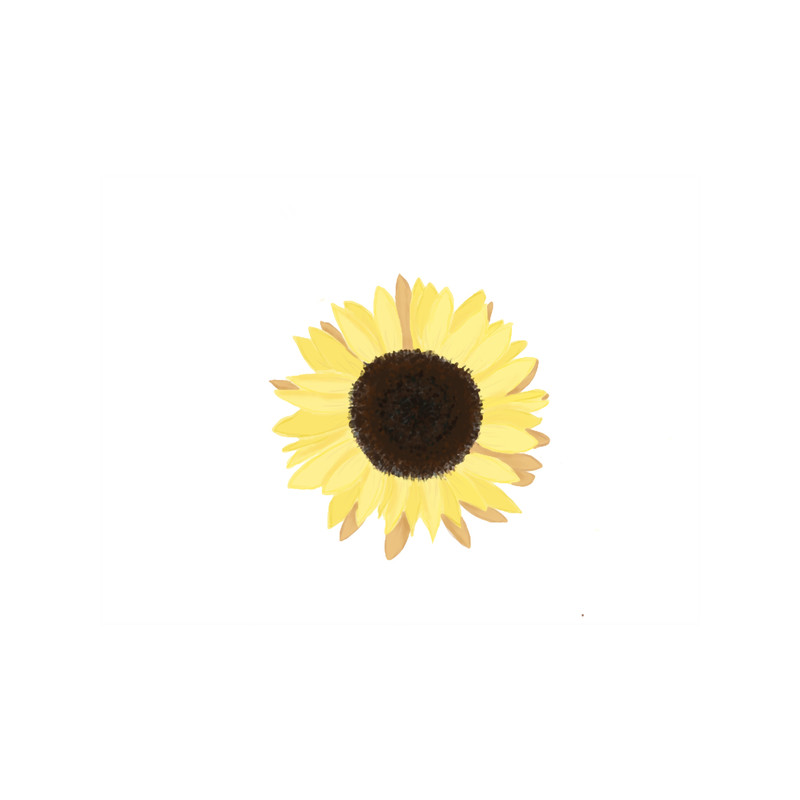 Sunflower (20).png