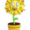 Sunflower .png