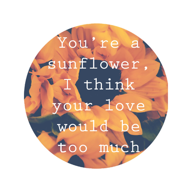 sunflower sunshine .png