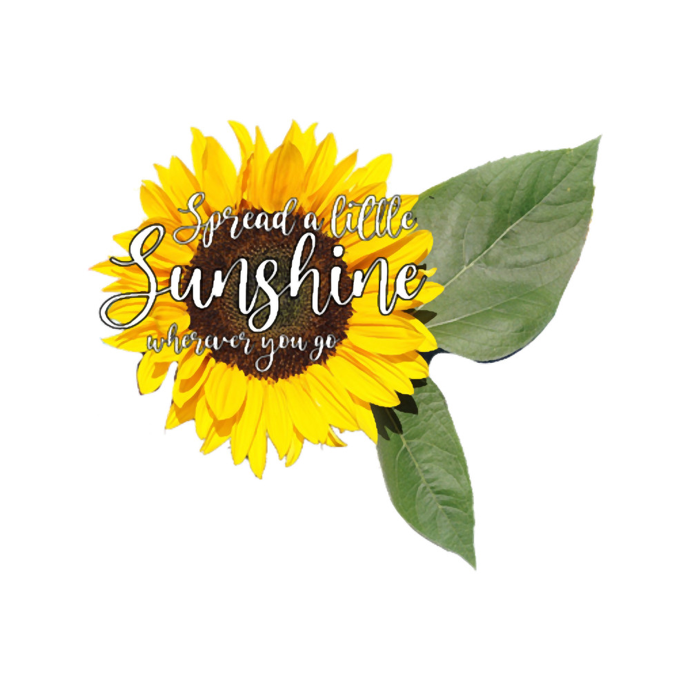 Sunflower sushine.png