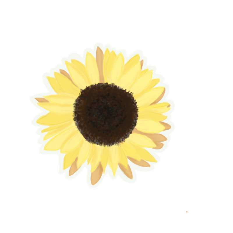 Sunflower(2).png