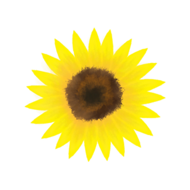 Sunflower(3).png