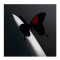the butterfly look so pretty with malone .png