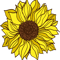 Yellow Sunflower.png