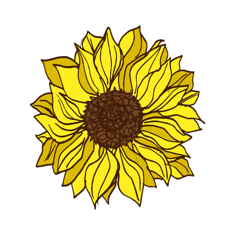 Yellow Sunflower.png