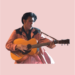 austin butler elvis guitar