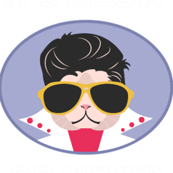 elvis presley elvis presley cat