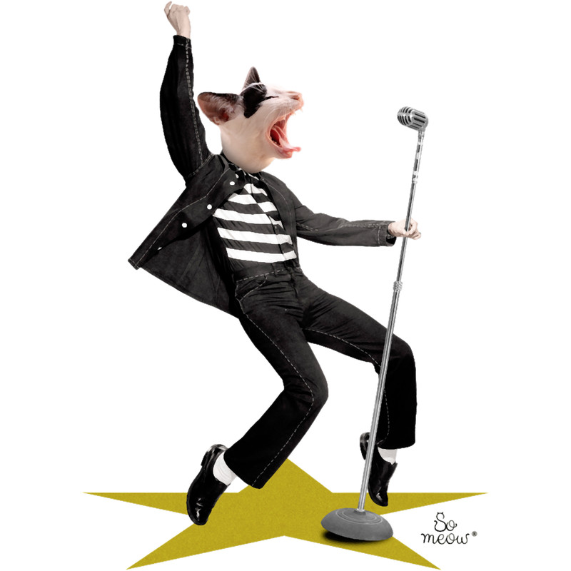 The King Cat - a tribute to Elvis Presley.png