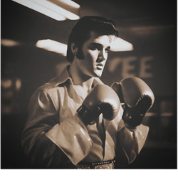 the king of the ring