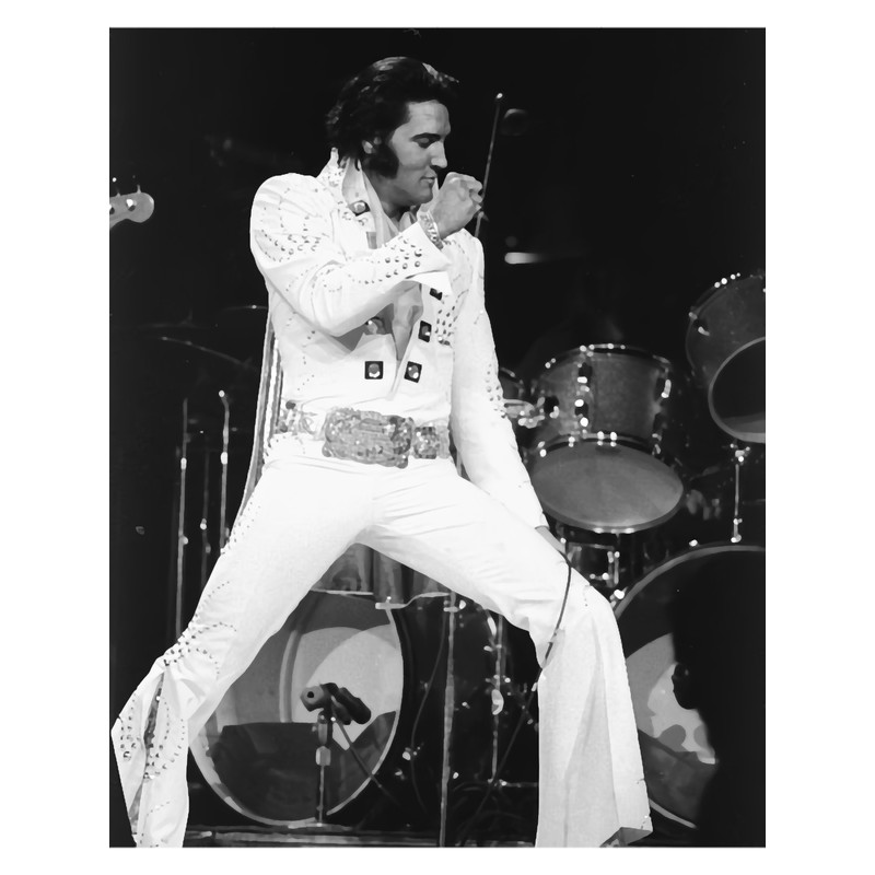 The Singer Of LegendsAlbums 0004 .png