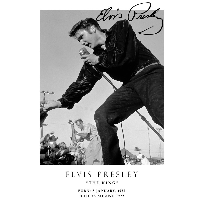 The Singer Of LegendsAlbums 0006 .png