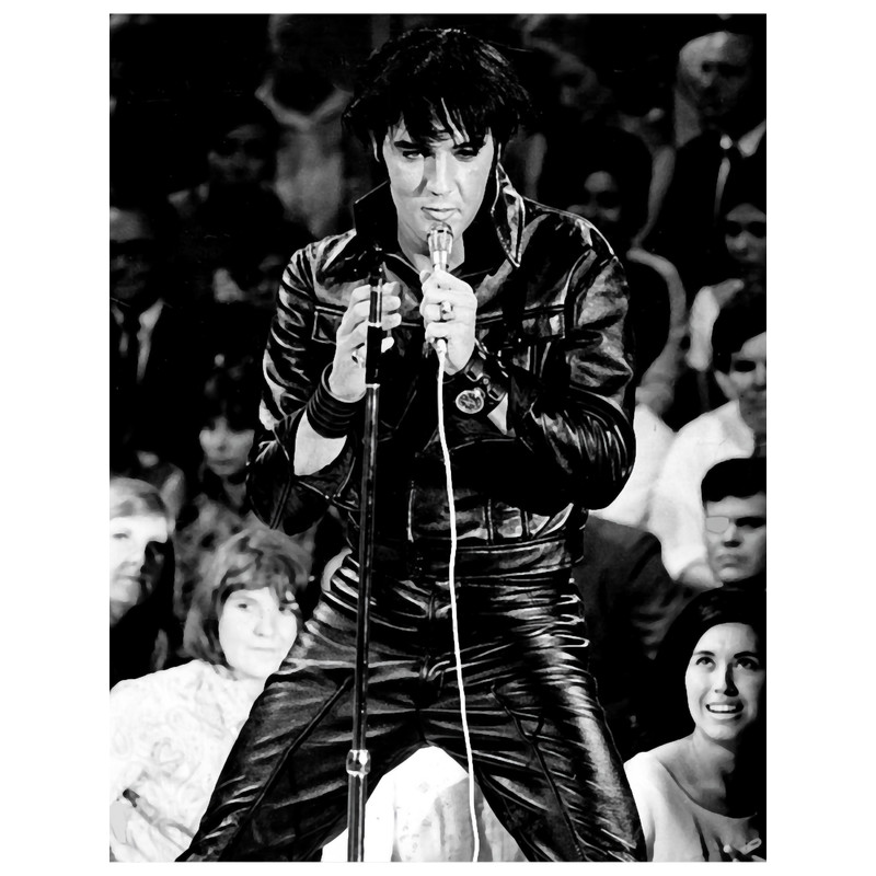 The Singer Of LegendsAlbums 0008 .png