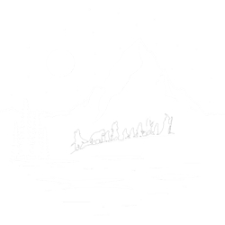 fellowship of the ring