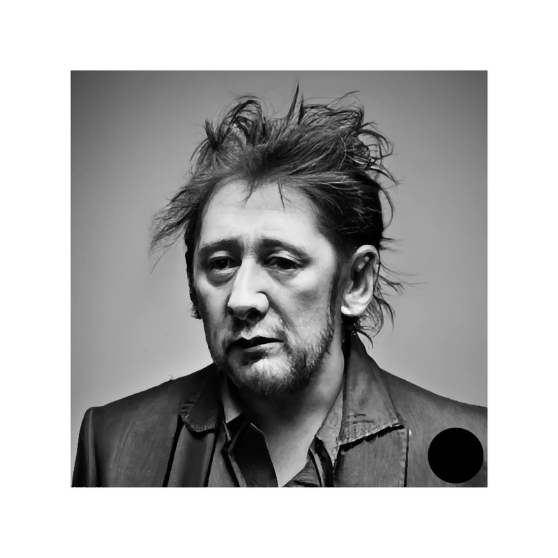 Shane MacGowan Heads of music - Look for it.png