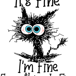 its fine im fine everything is fine funny cat