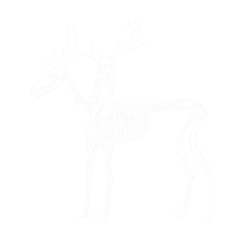 Two Headed Deer (1).png