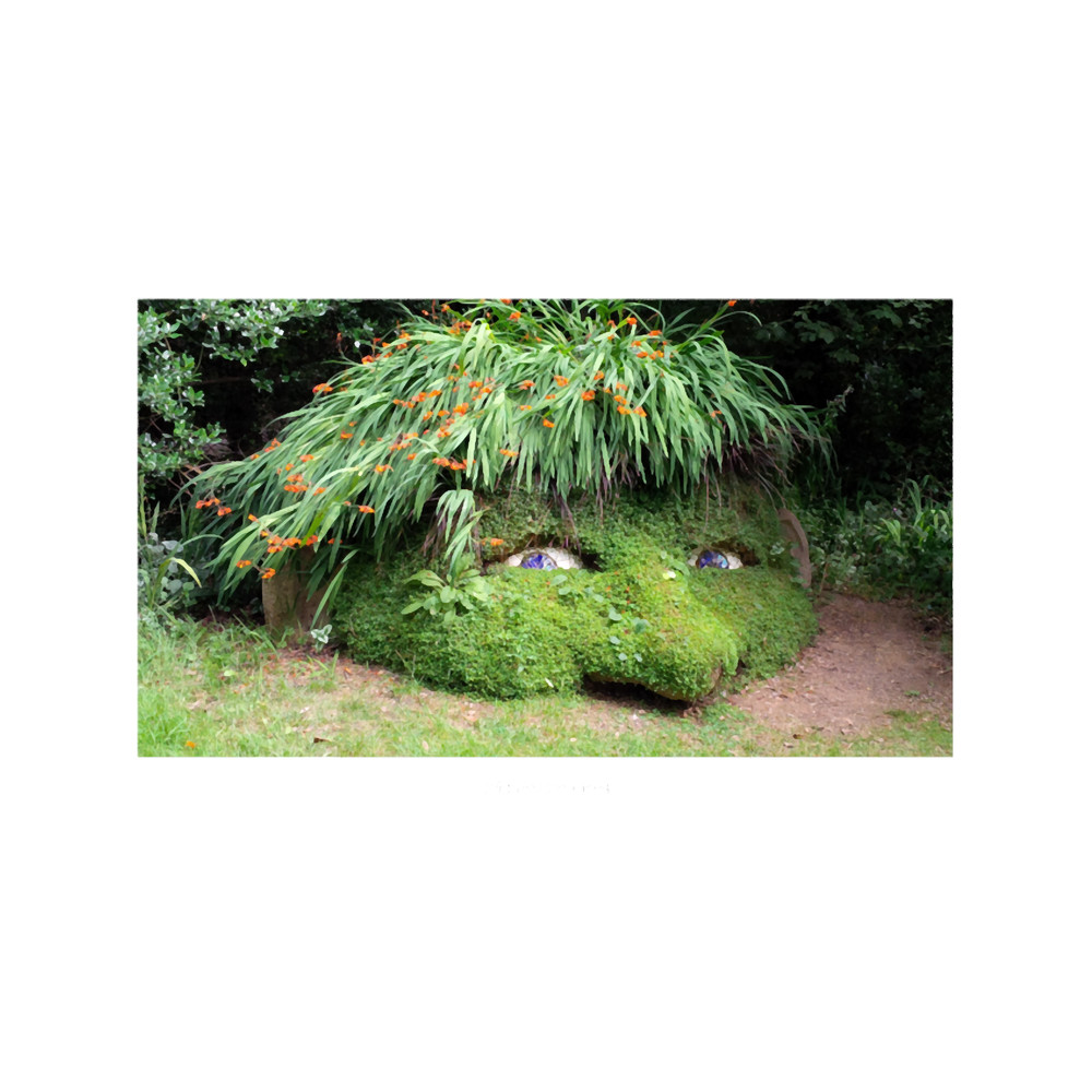 GIANTS HEAD HELIGAN CORNWALL.png