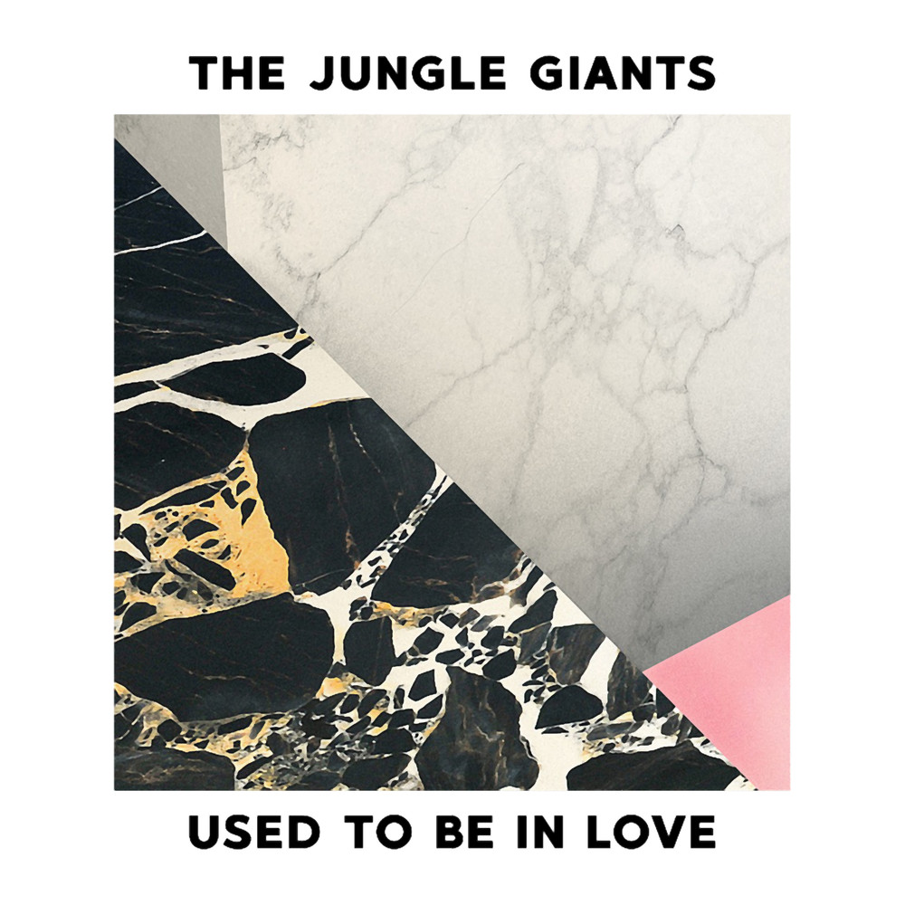 THE JUNGLE GIANTS BAND (10).png